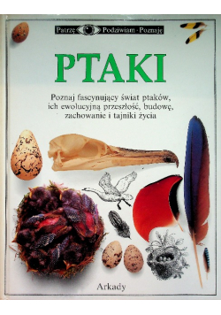 Ptaki