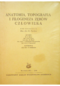 Anatomia topografia i filogeneza zębów człowieka