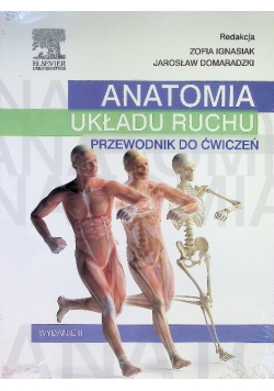 Anatomia układu ruchu przewodnik do ćwiczeń