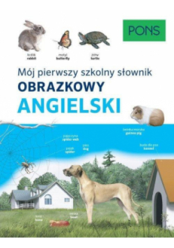 Słownik obrazkowy szkolny angielski