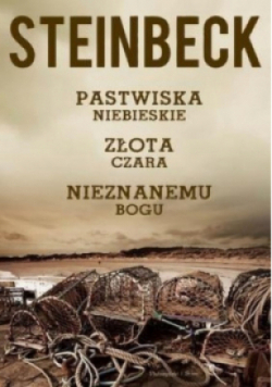 Pastwiska niebieskie Złota czara Nieznanemu bogu