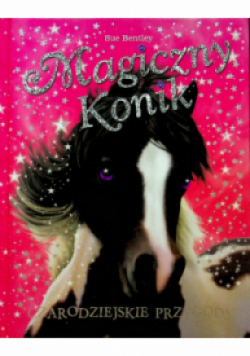 Magiczny konik Czarodziejskie przygody