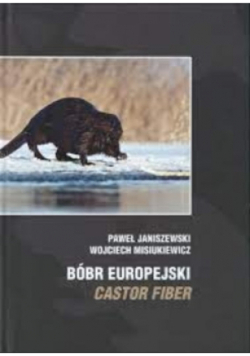Bóbr Europejski