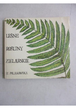 Leśne rośliny zielarskie