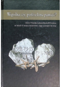 Wspólna czy podzielona pamięć