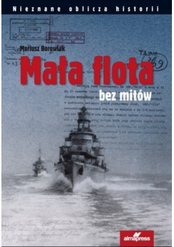 Mała flota bez mitów