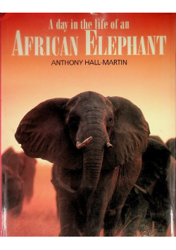 A day in the life of an African elephant