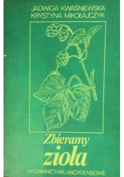 Zbieramy zioła