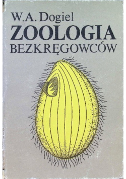 Zoologia bezkręgowców