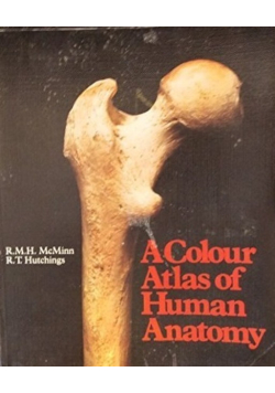 Color Atlas of Human Anatomy