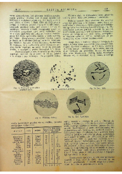 Gazeta Rolnicza Tom XLVI  Nr 1 do 52 1906 r