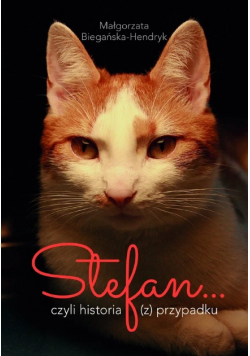 Stefan… czyli historia (z) przypadku