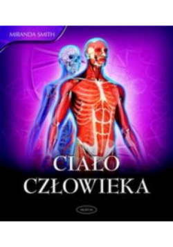 Ciało człowieka