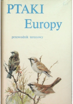 Ptaki Europy