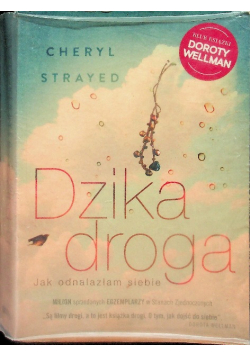 Dzika droga
