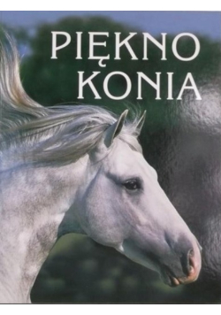 Piękno konia