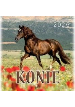 Kalendarz 2026 wieloplanszowy 33x33cm Konie