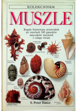 Kolekcjoner muszle