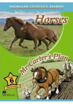 Horses 6