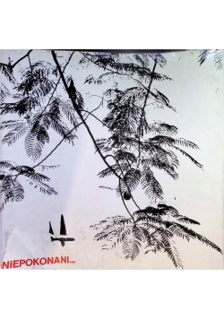 Niepokonani Wietnam Północny w fotografiach Zbigniewa Staszyszyna
