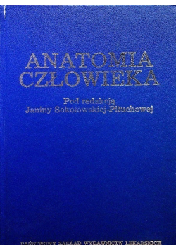 Anatomia człowieka