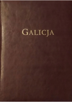 Galicja Album Widoków Galizien Aussichten- Album