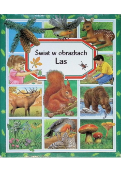 Świat w obrazkach Las