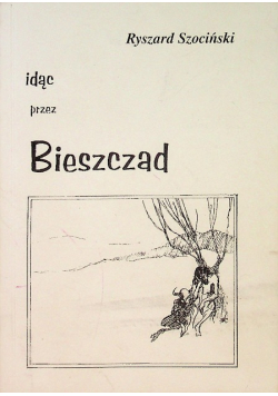 Idąc przez Bieszczad