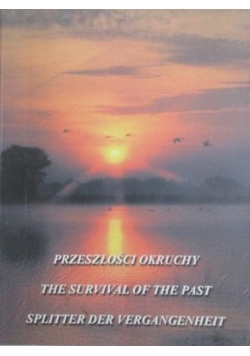Przeszłości okruchy