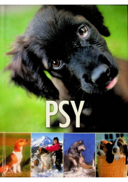 Psy