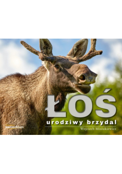 Łoś urodziwy brzydal