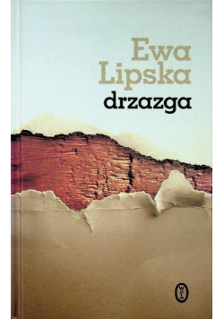 Drzazga