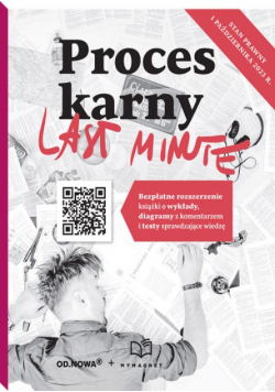 Last Minute. Proces karny
