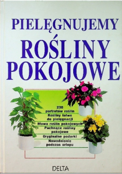 Pielęgnujemy rośliny pokojowe