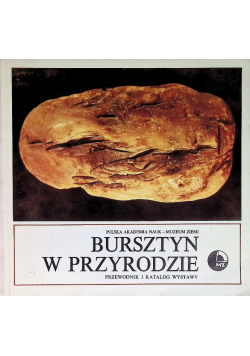 Bursztyn w przyrodzie