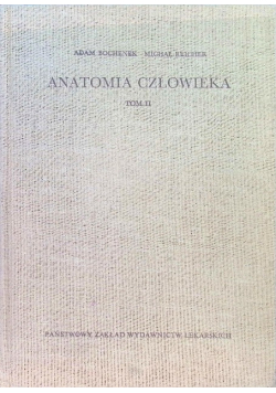 Anatomia człowieka Tom II