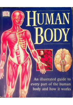 Human Body
