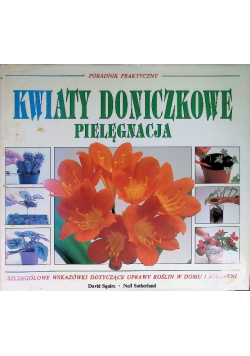 Kwiaty doniczkowe pielęgnacja poradnik praktyczny