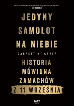 Jedyny samolot na niebie