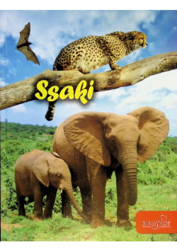 Ssaki