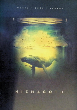 Nie ma go tu
