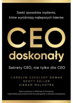 CEO doskonały. Sześć sposobów myślenia, które wyróżniają najlepszych liderów