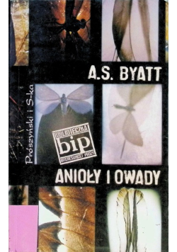 Anioły i owady