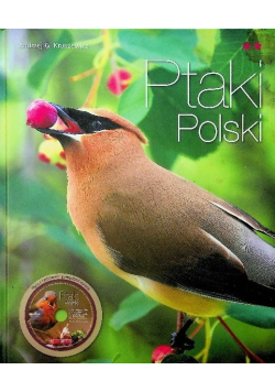 Ptaki Polski Część 2