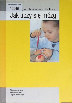 Jak uczy się mózg