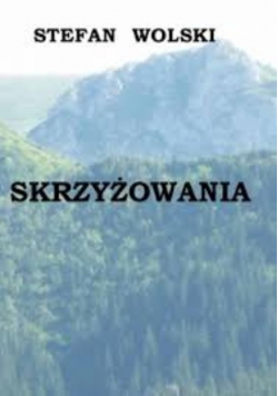 Skrzyżowania