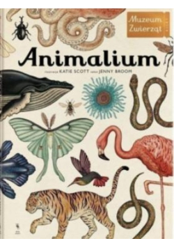 Animalium