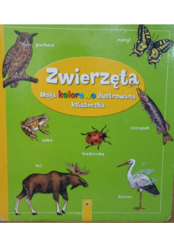 Zwierzęta Moja kolorowo ilustrowana książeczka