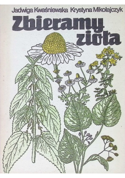 Zbieramy zioła