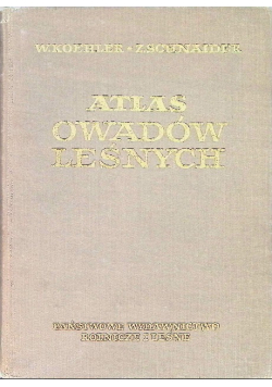 Atlas owadów leśnych